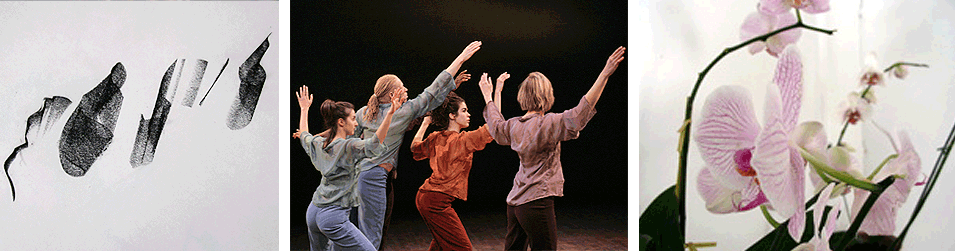 Projects and Research